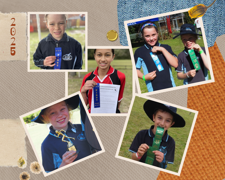Student Success